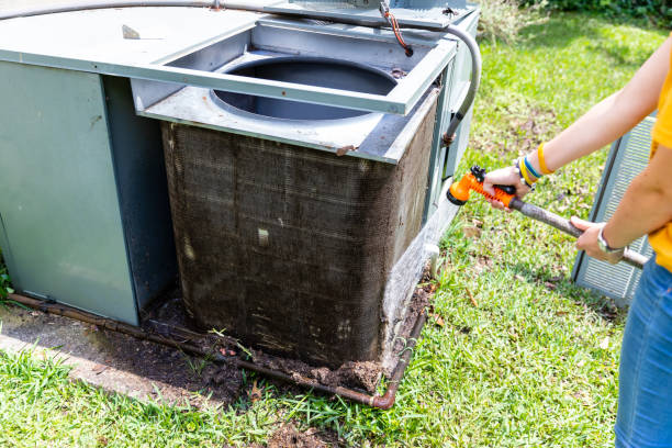 Air Duct Mold Removal in KY