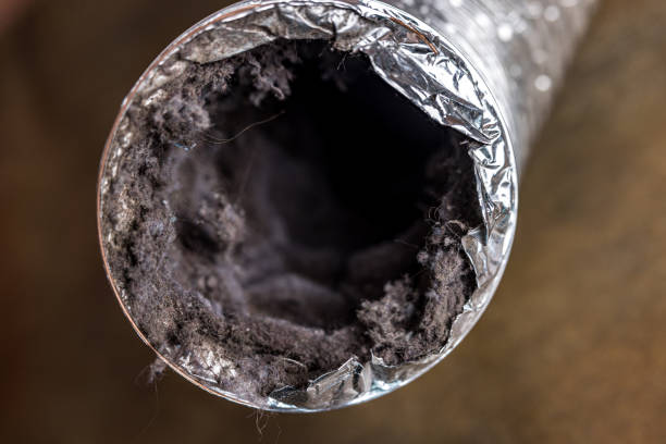 Best Emergency Air Duct Cleaning  in Berea, KY